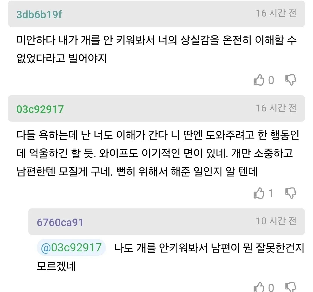 alt="아내의 반려견이 죽은 뒤 우울증을 겪자 남편이 도우려 한 사연에 대해 누리꾼들이 남편과 아내의 행동을 두고 의견을 나누는 댓글 캡처 화면"