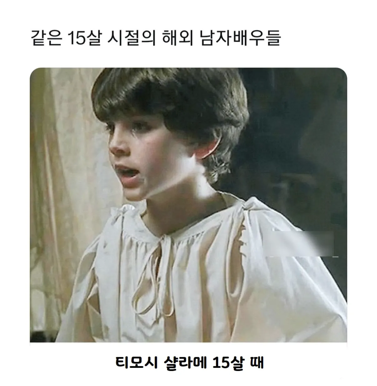 15살 시절 해외 남자 배우들의 모습과 티모시 샬라메 어린 시절 사진
