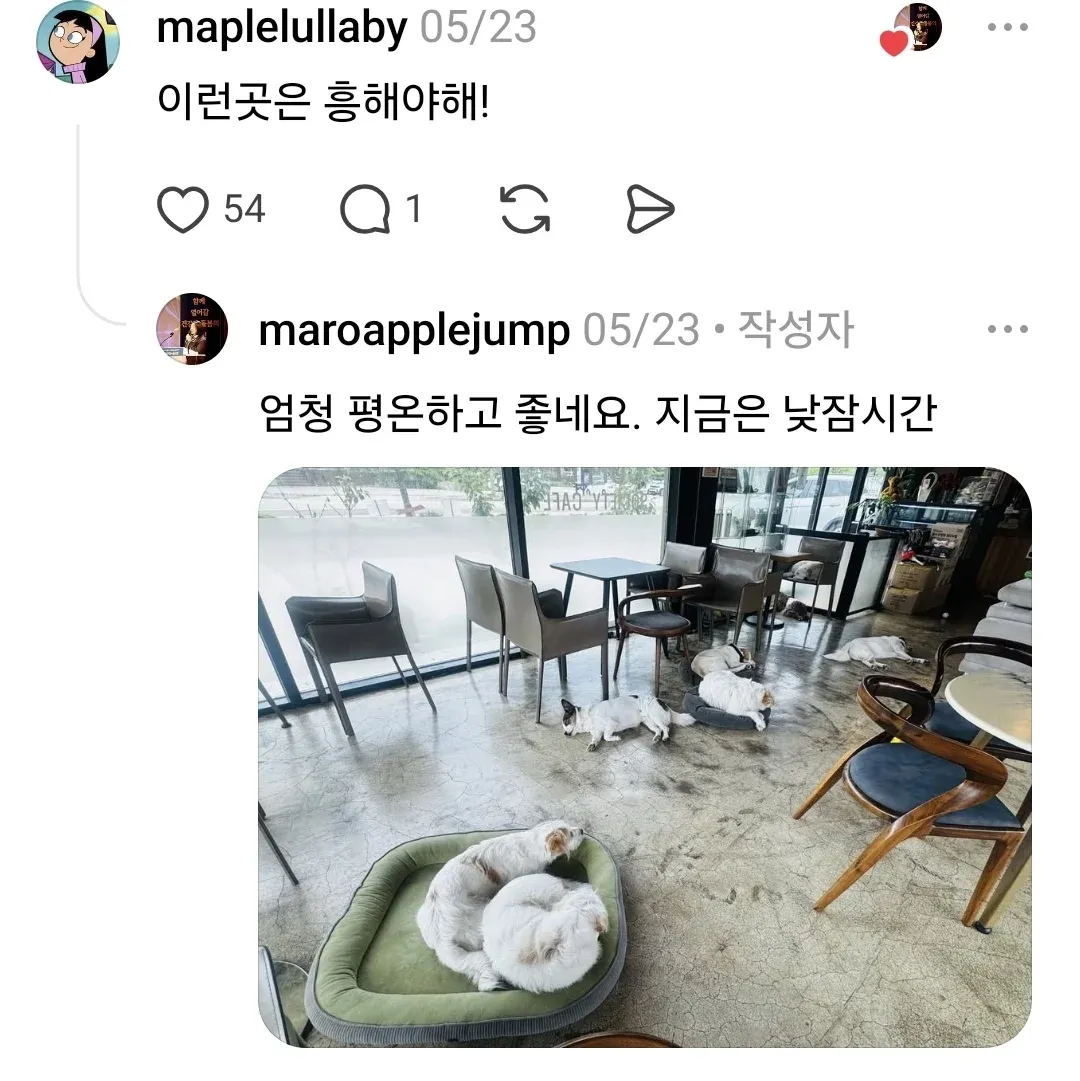 인천 영종도 카페 운영에 불만을 나타낸 게시물 화면