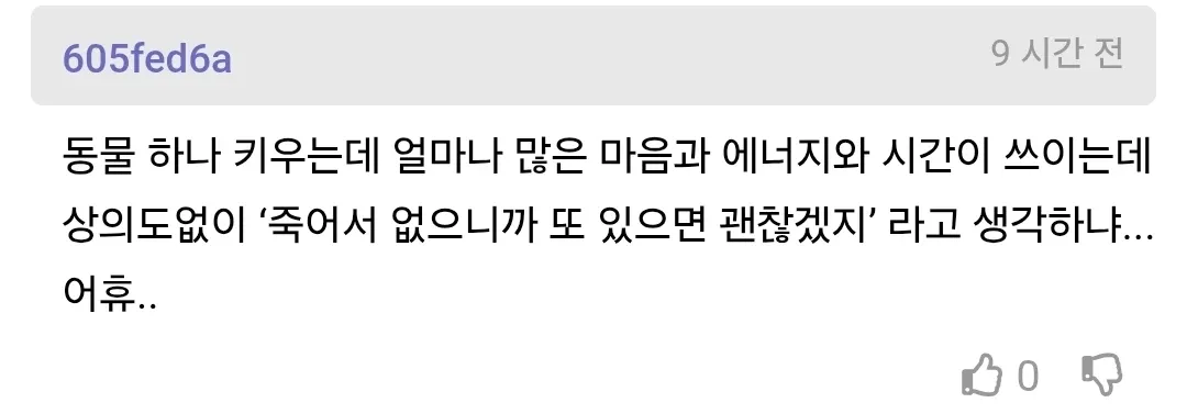 반려견을 잃은 아내가 남편에게 깊은 슬픔을 호소한다.
