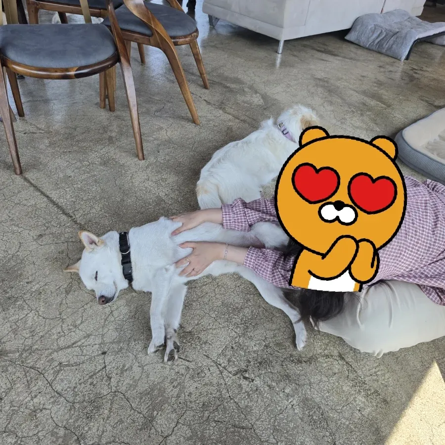 인천 영종도 운영이 미흡한 카페 내부