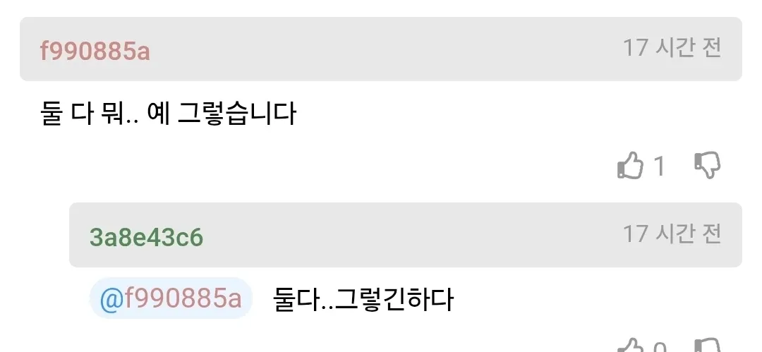 아내의 반려견 사망 후 우울증에 대처하는 남편