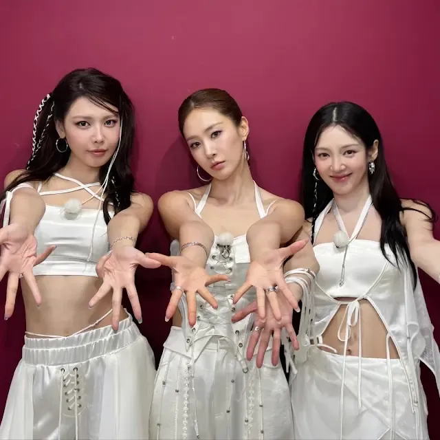 음방 데뷔 후 회식하는 효리수