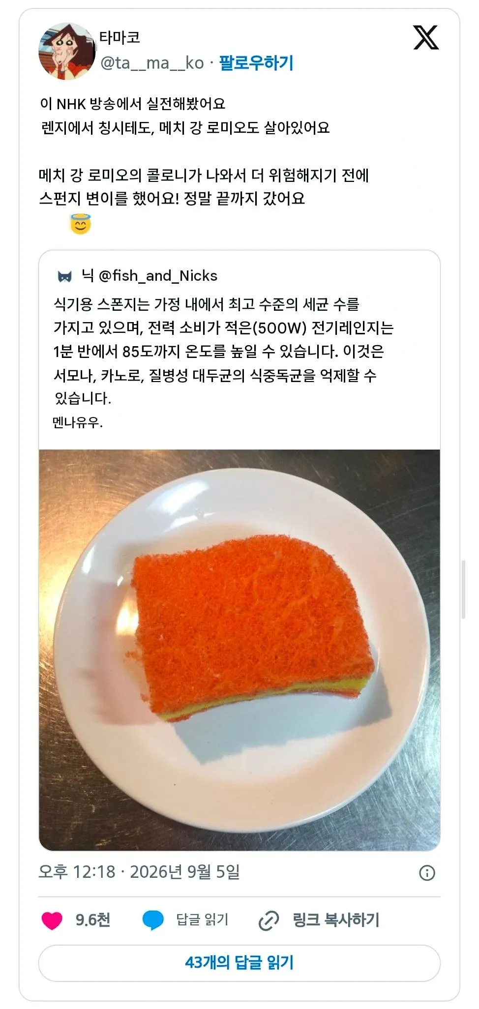 NHK 방송의 주방용 스펀지 살균 실험을 소개하는 게시물 캡처. 전자레인지로 스펀지를 1분 30초간 가열해 85도까지 올리면 세균을 억제할 수 있다는 내용과 함께, 스펀지에서 세균