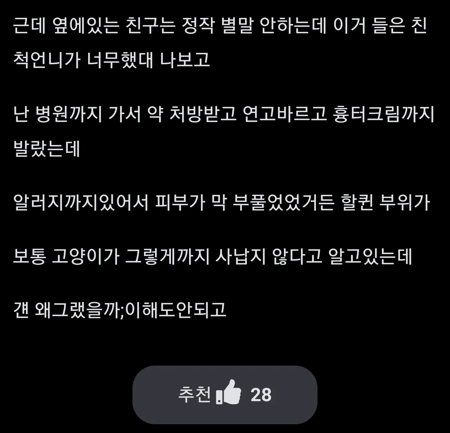 길고양이에게 할퀴어 병원 치료받은 사연이 담긴 게시글