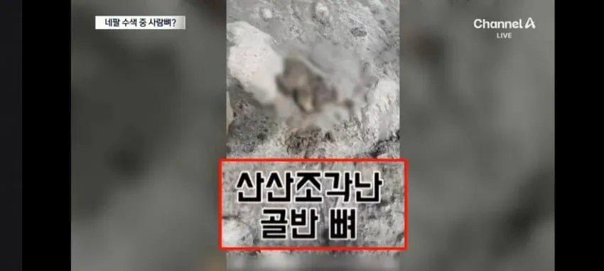 대홍수로 네팔에 고립된 한국인 산악인의 근황