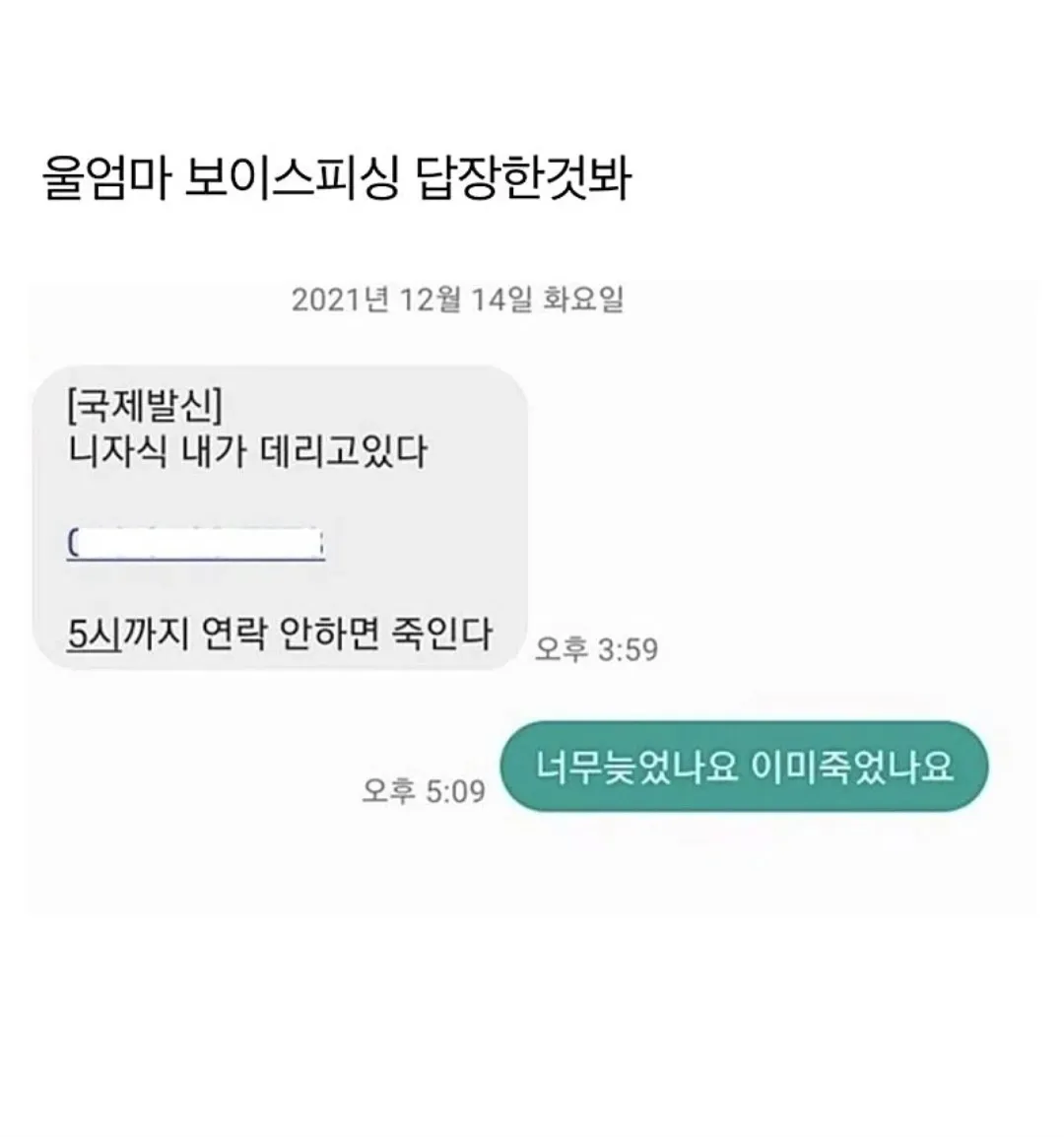 보이스피싱 협박 문자와 엄마의 답장을 담은 카톡 모음