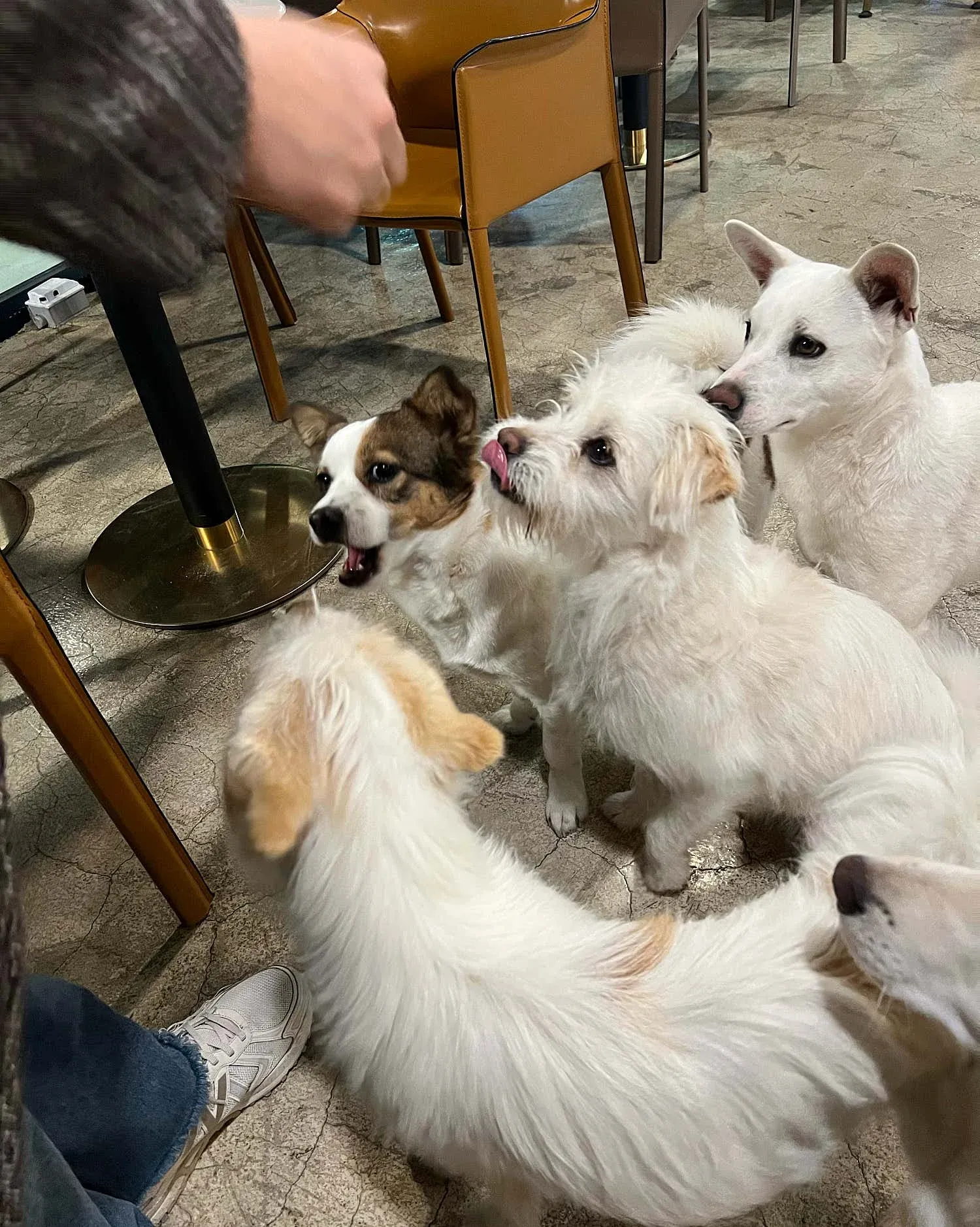 운영이 진짜 엉망인 인천 영종도 카페 모습