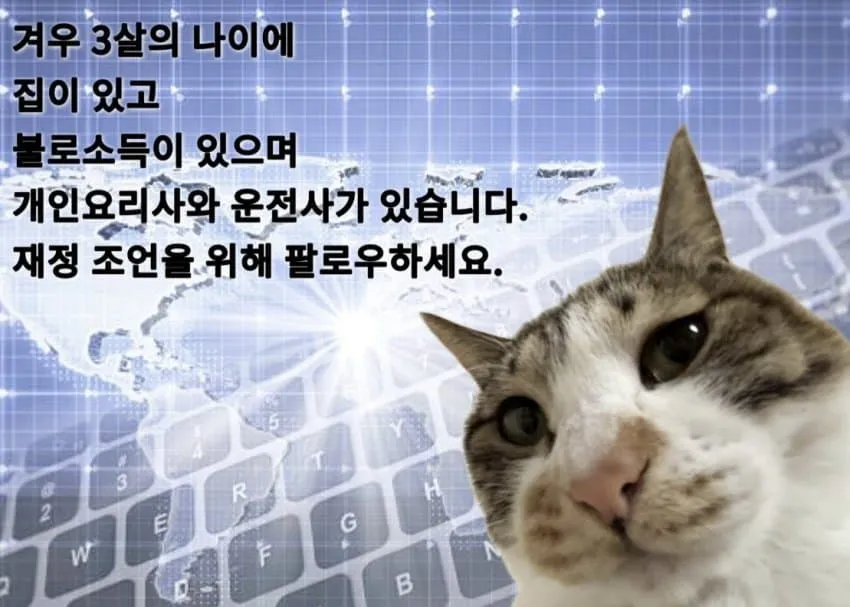 개인 요리사와 운전사가 있는 성공한 삶