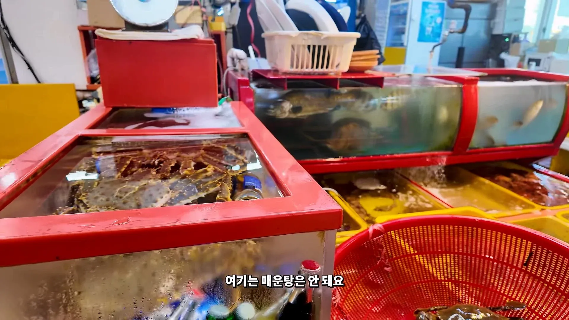 부산 자갈치 시장에서 어이없는 일을 겪었다는 유튜버