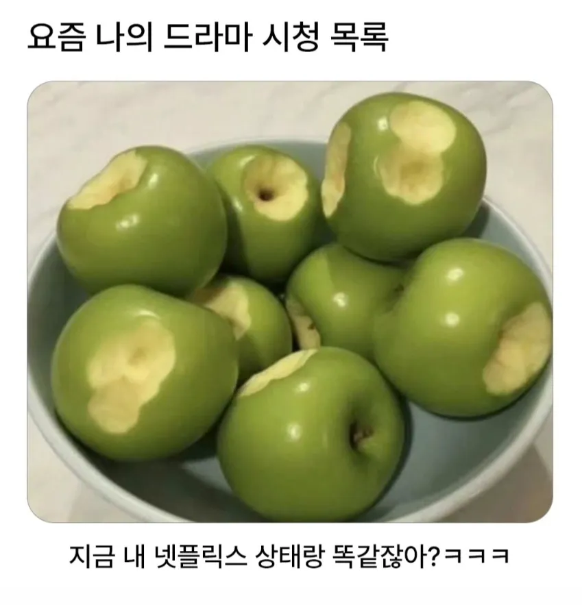 드라마 시청 목록에 공감하는 댓글 이미지