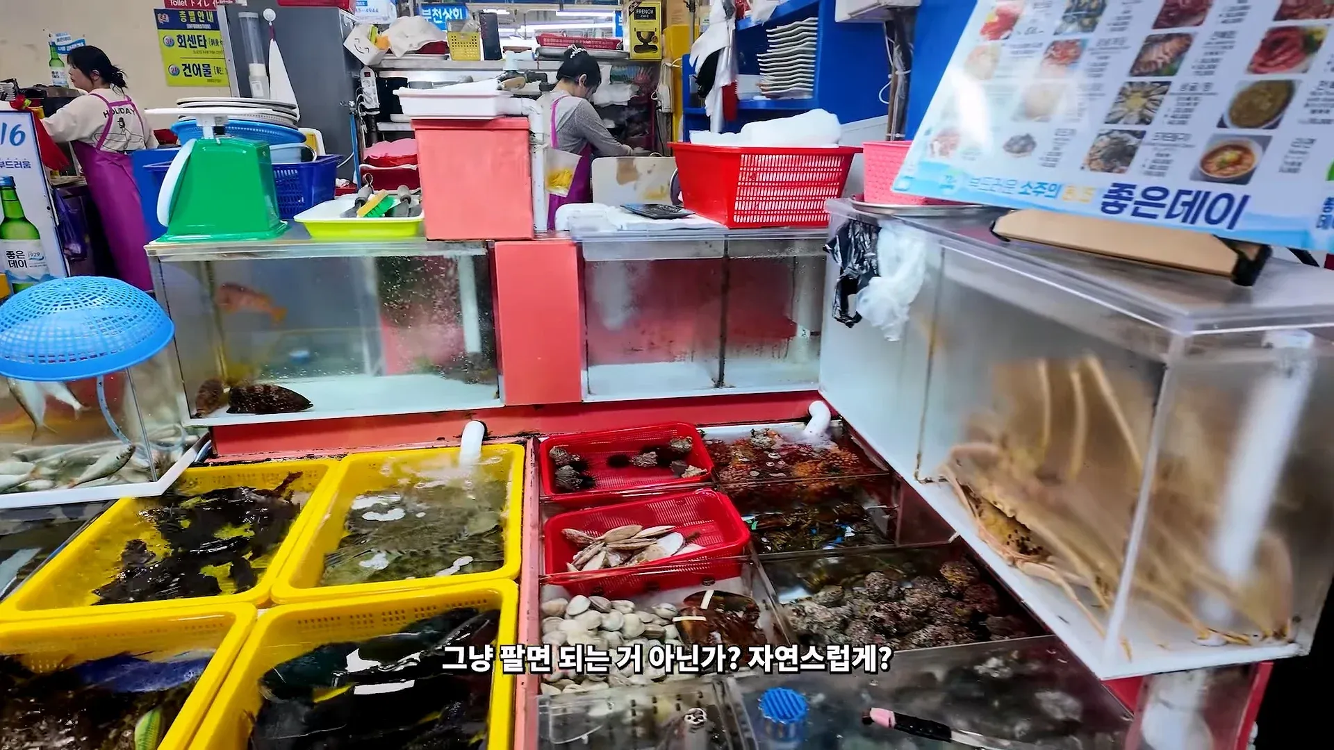 부산 자갈치 시장에서 어이없는 일을 겪었다는 유튜버