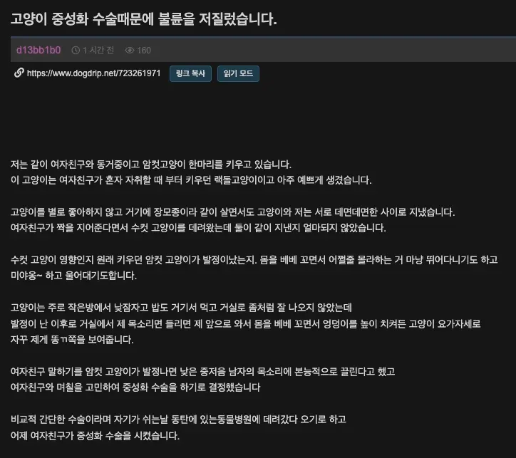 고양이 중성화 수술을 계기로 시작된 뜻밖의 불륜 이야기