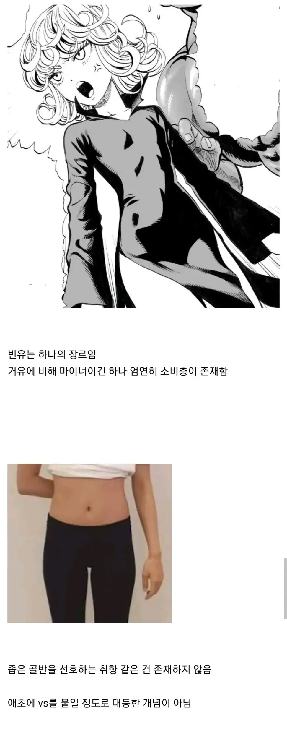 가슴 vs 골반 논쟁이 무의미하다는 주장을 담은 밈 이미지