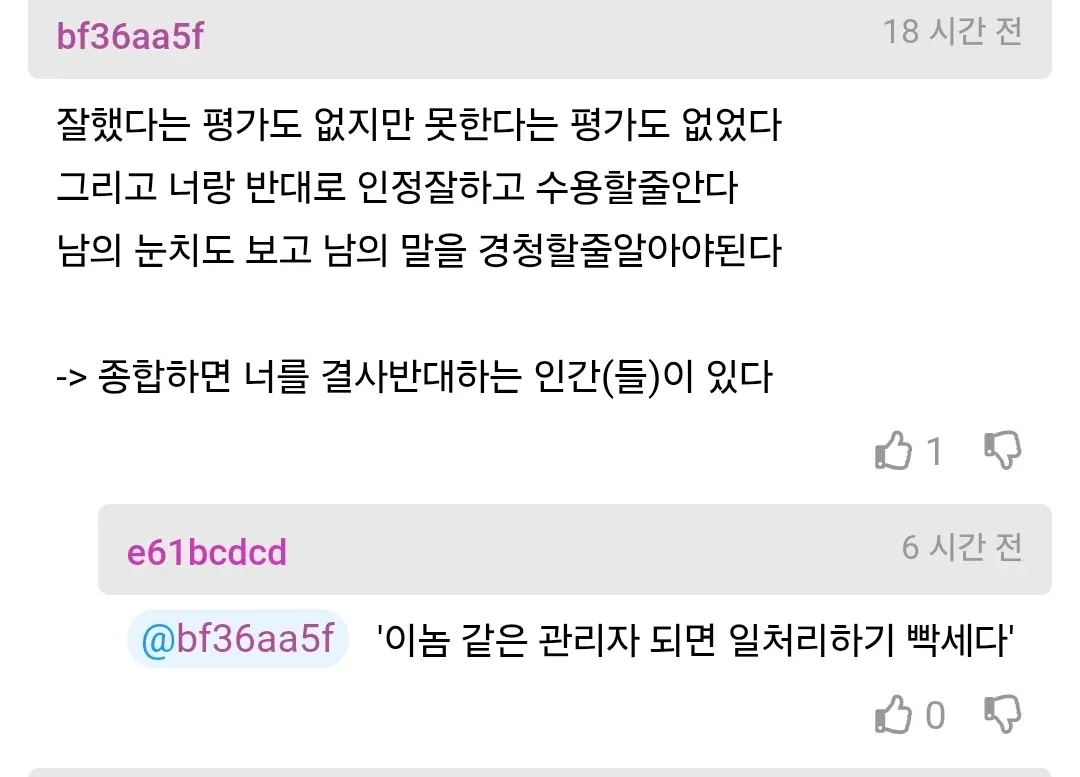 차장 진급에 떨어진 사람이 분노하며 관리자 후보를 비판하는 온라인 댓글 화면