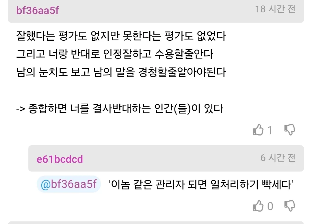 차장 승진 탈락자가 특정 관리자를 비판하는 글