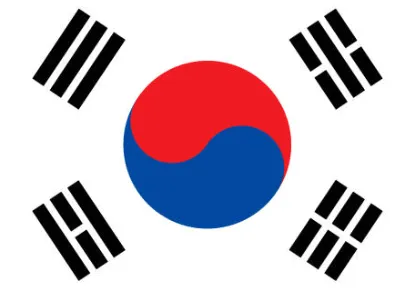 한국 태권도의 실전 활용을 보여주는 영상