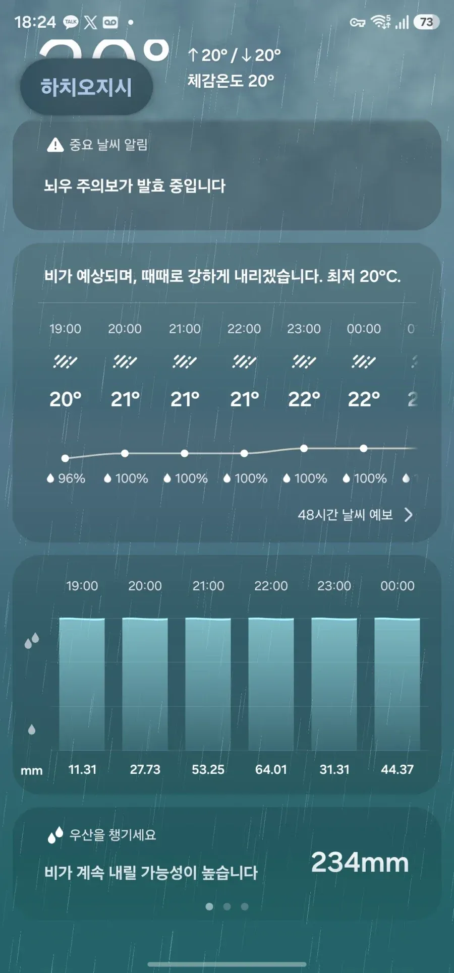 도쿄에 폭우주의보가 발효된 날씨 예보 화면.