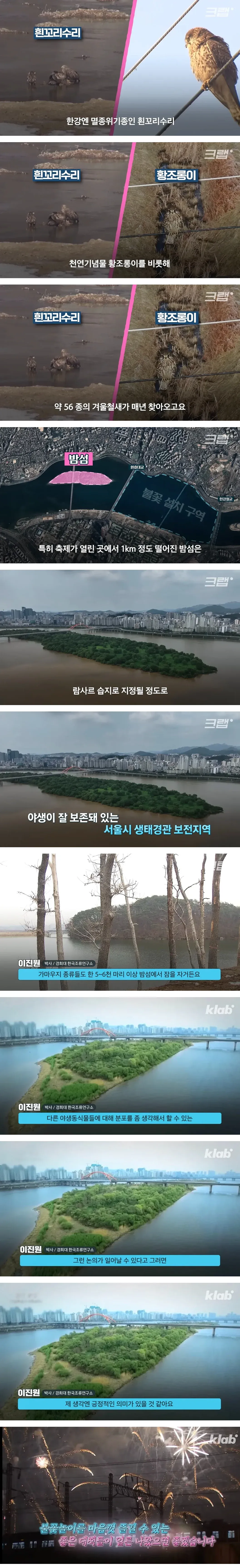 한강 불꽃축제가 철새와 야생조류에 미치는 피해를 설명한 자료.