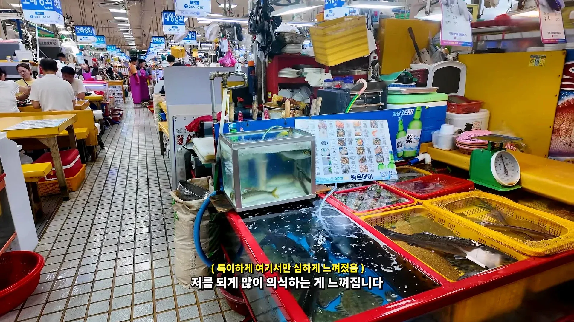 부산 자갈치 시장에서 어이없는 일을 겪었다는 유튜버