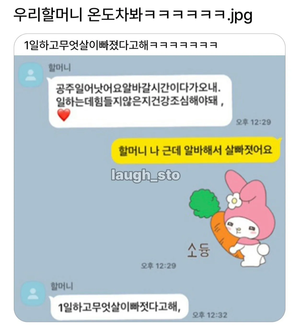할머니가 살 빠졌다며 건강을 걱정하고 손녀가 알바 중이라고 답한 대화 화면