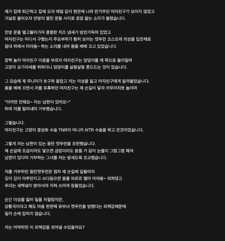 고양이 코스프레를 한 여성이 침대 위에서 포즈를 취하고 있다.