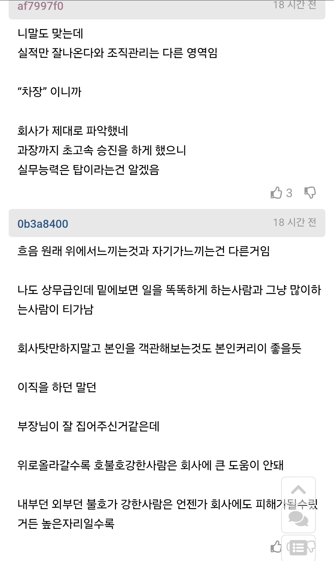 온라인 댓글 캡처 이미지. 차장 진급에서 탈락한 직장인의 분노를 두고, 실무 능력과 조직 관리 능력은 다르며 자기 객관화와 대인관계가 중요하다는 의견이 이어진다.