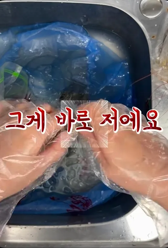 다은쓰와 원남쓰 당사자들ㅋㅋㅋㅋ