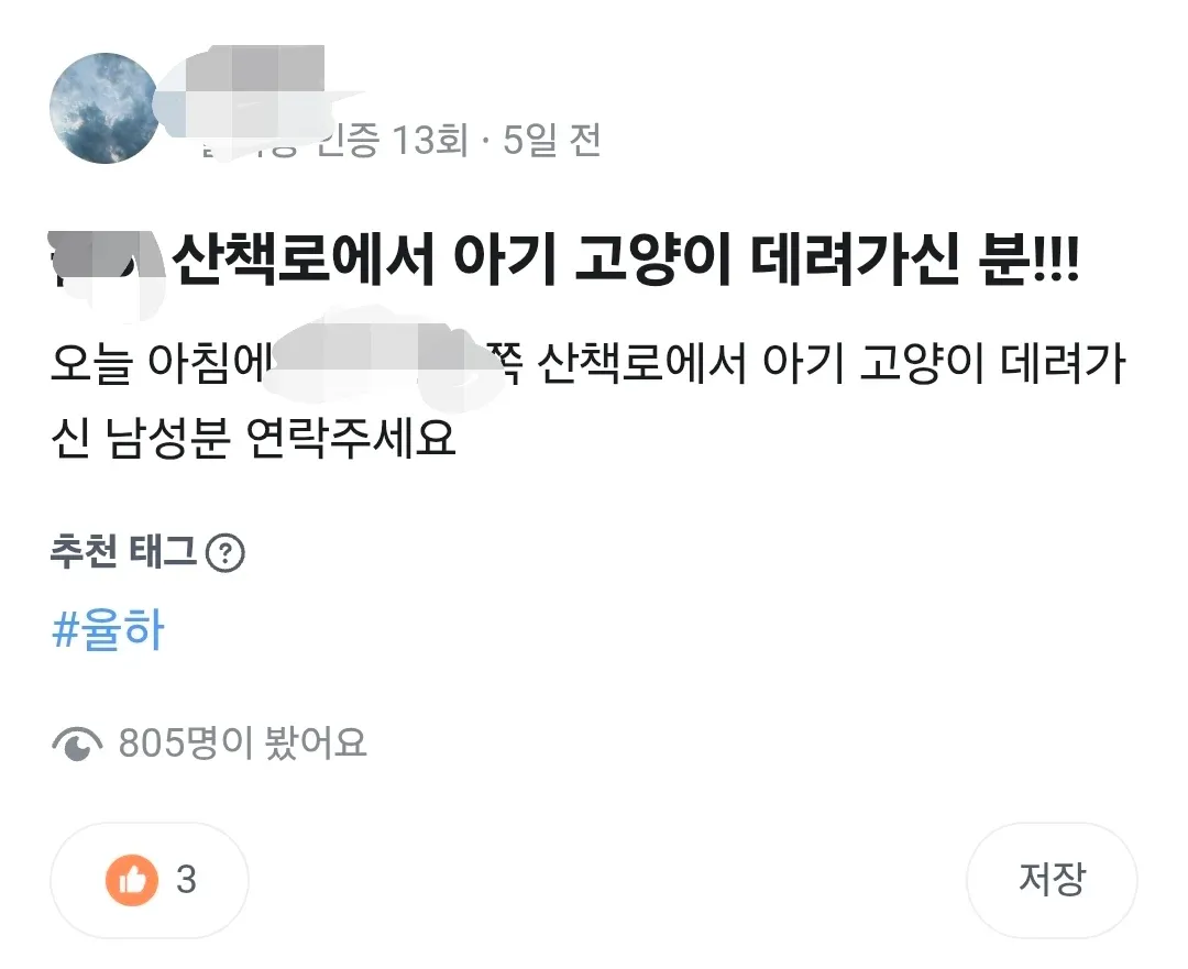 산책로에서 아기 고양이를 데려간 남성을 찾는 글
