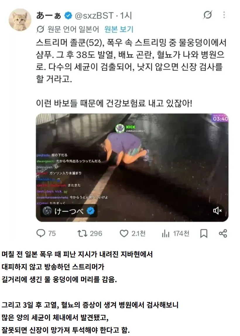 폭우 속 물웅덩이에서 머리를 감은 52세 일본인 스트리머가 이후 고열과 혈뇨로 병원에 간 일을 소개하는 게시물.