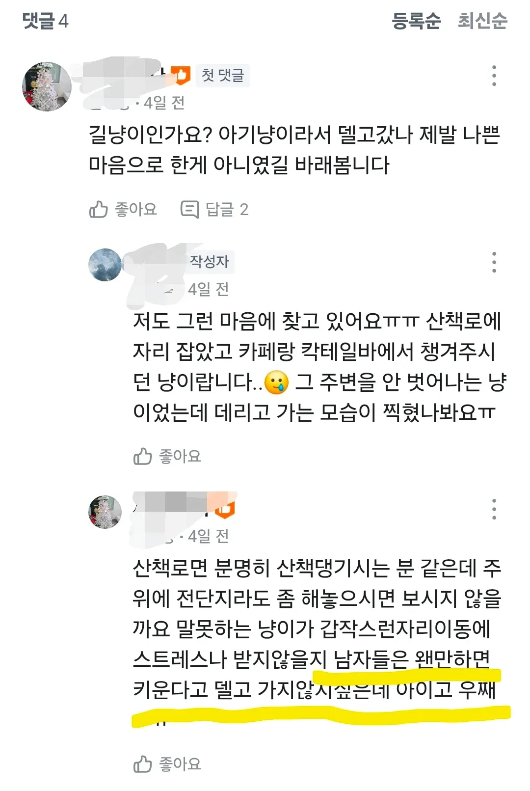 산책로에서 사라진 길고양이를 걱정하는 댓글 화면