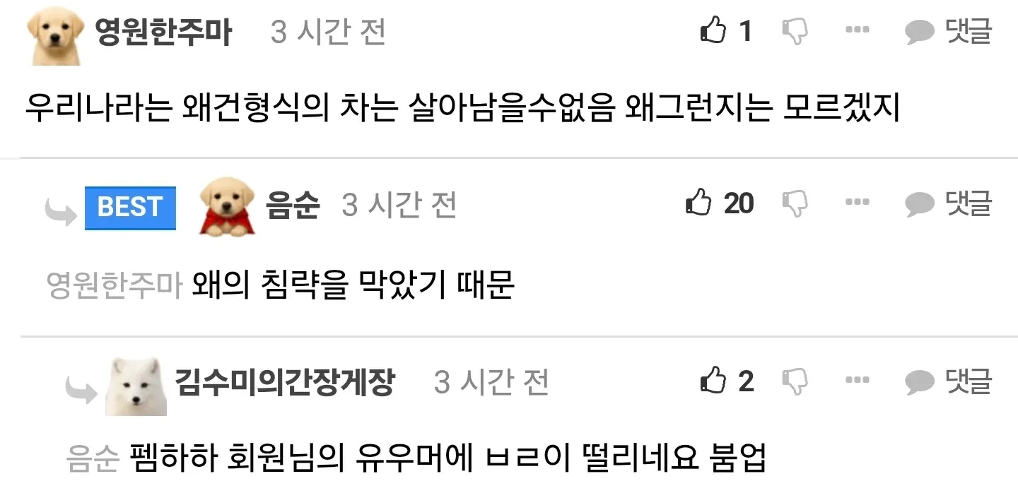 한국에서 사라진 실용적인 왜건형 자동차를 다룬 유머 이미지