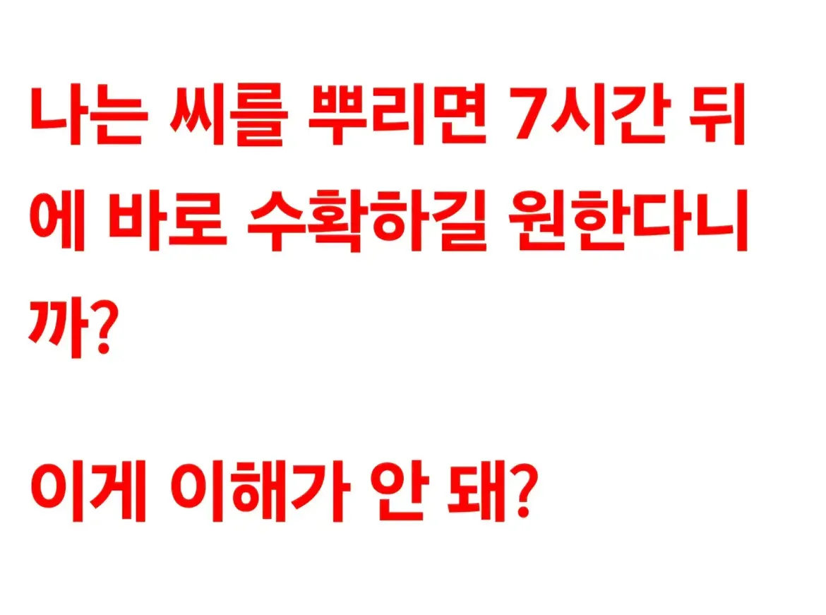 주식 추천을 재촉하며 답답함을 표현한 메시지