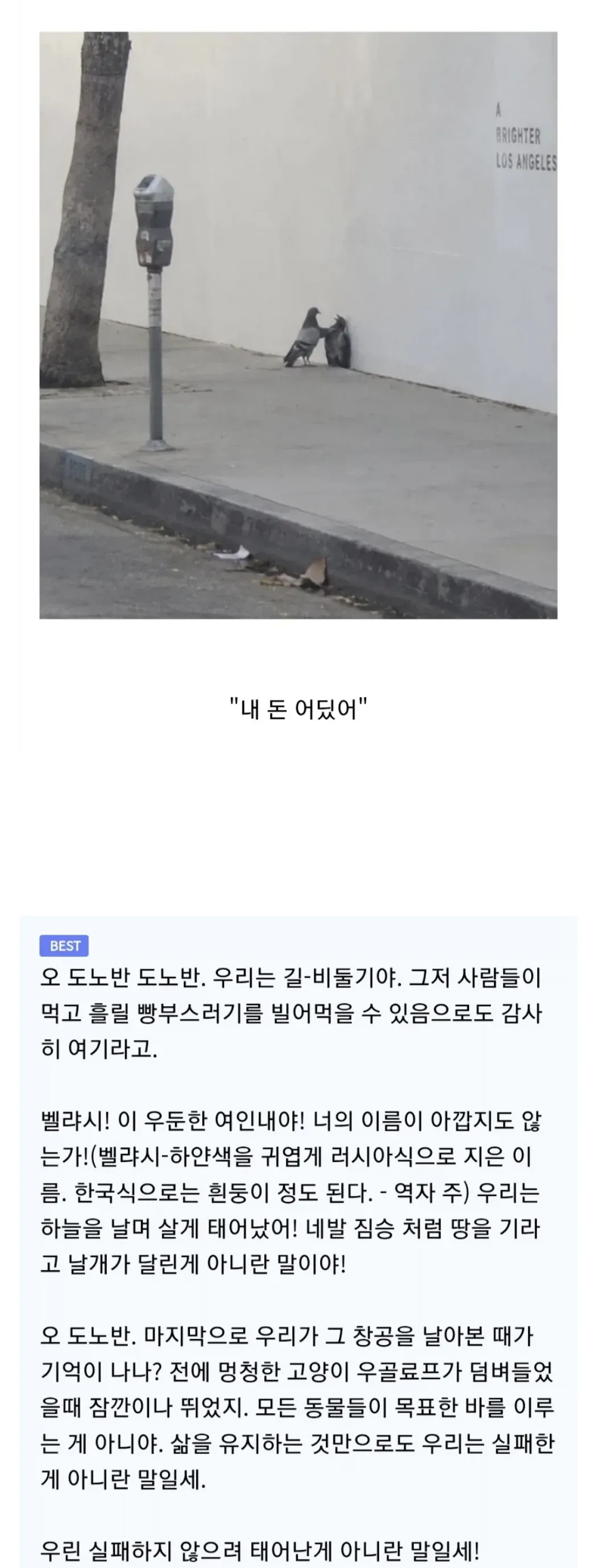 ‘내 돈 어딨어’ 문구와 비둘기 두 마리의 생존 대화를 담은 러시아 문학 패러디