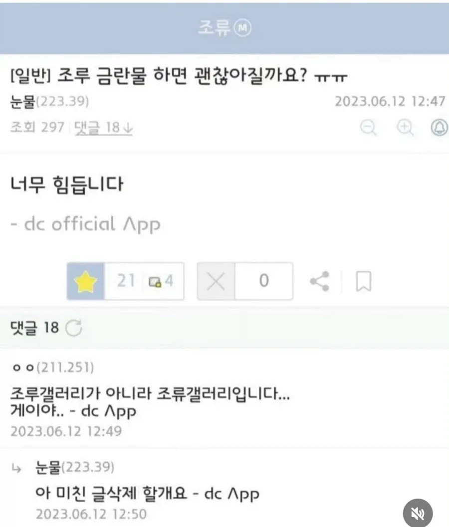 디시인사이드 조류 갤러리에 잘못 글을 올린 이용자의 대화 캡처