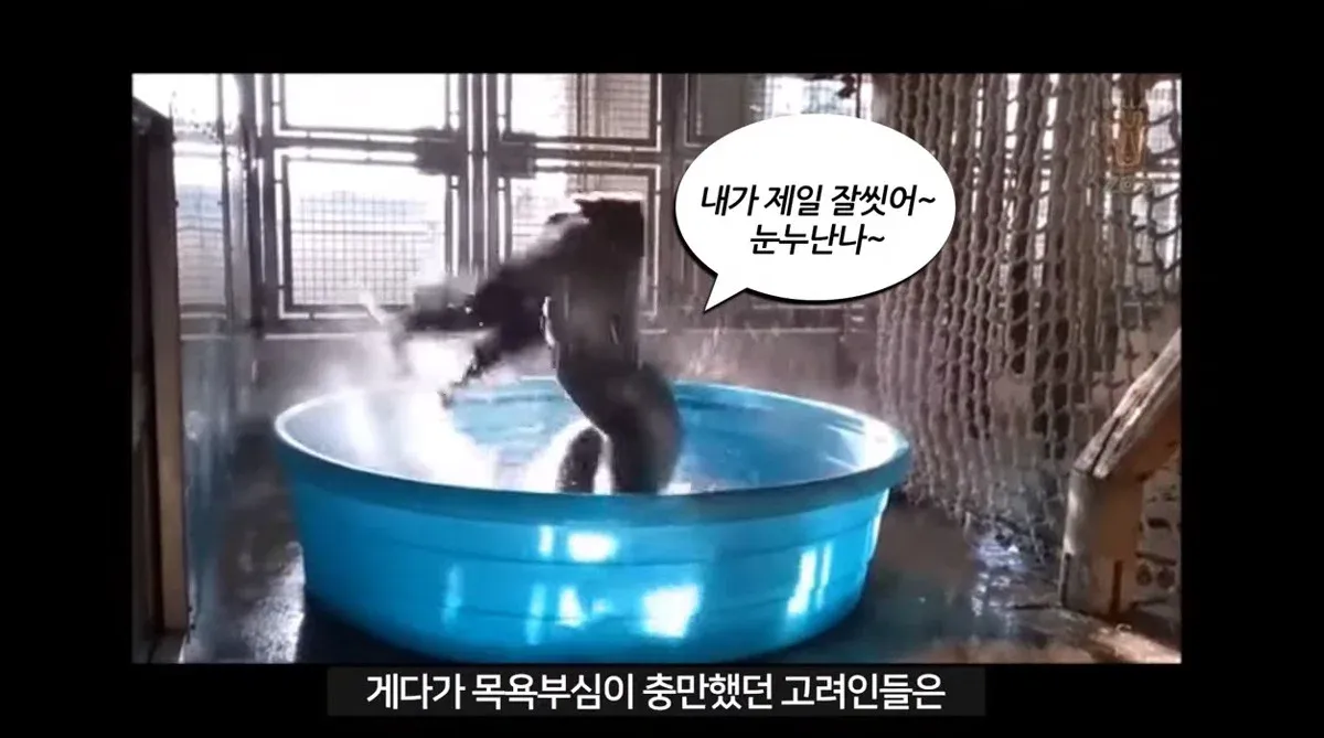 목욕에 진심이었던 고려인들의 목욕 모습