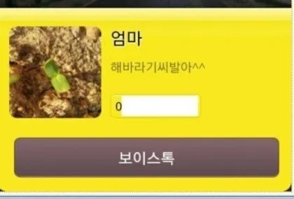 ‘엄마 해바라기씨발아^^’라고 적힌 이미지