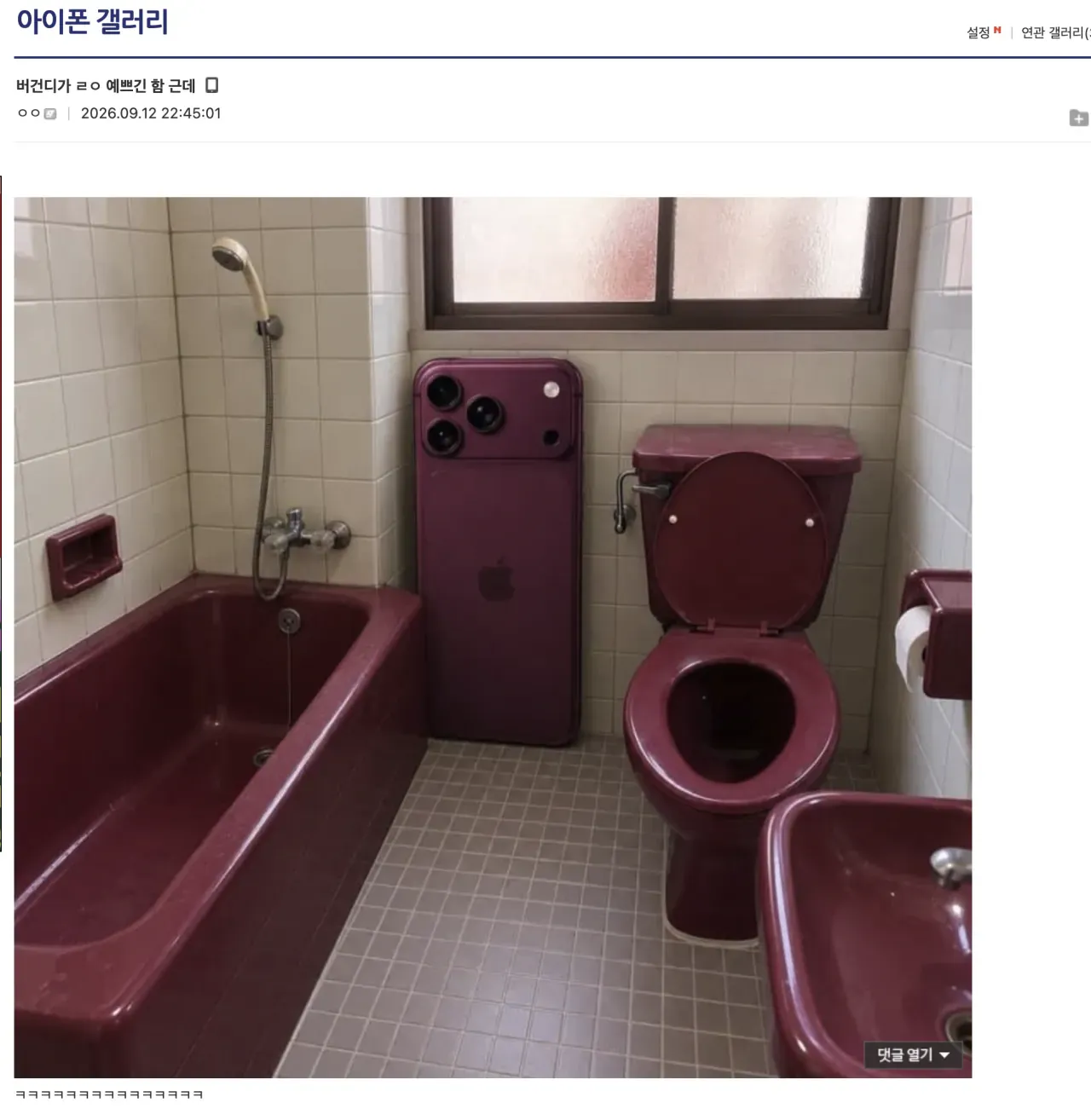 버건디 아이폰이 정말 예쁘다는 내용의 게시물