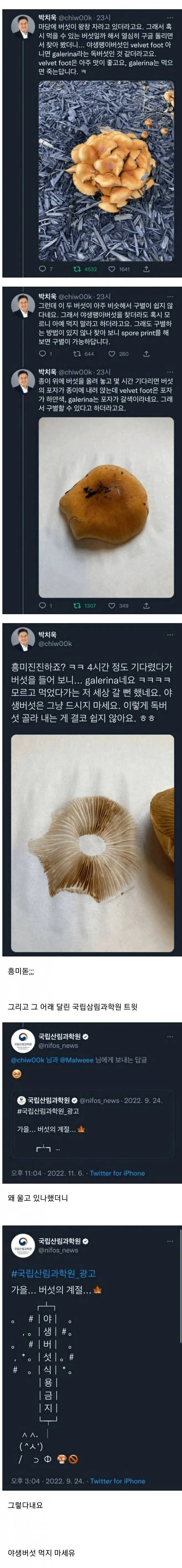 종이에 갈색 포자를 남긴 야생 버섯, 독버섯 갤러리나로 확인