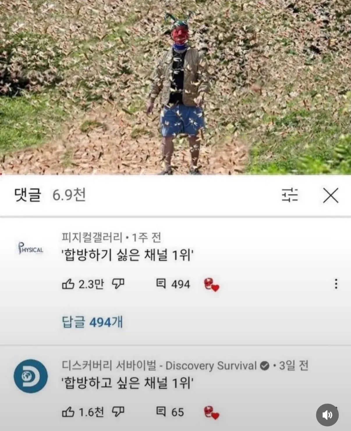 피지컬갤러리와 디스커버리 서바이벌의 합방 선호 순위 비교