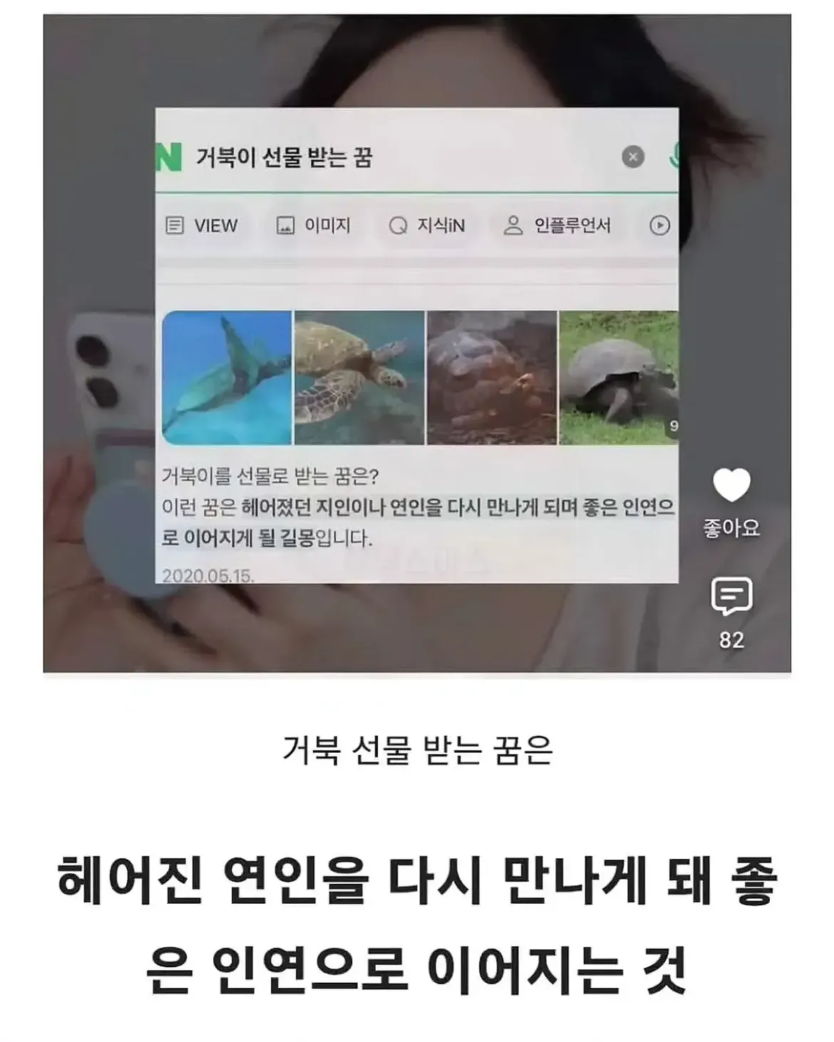 거북이를 선물 받는 꿈의 해몽을 설명한 게시글