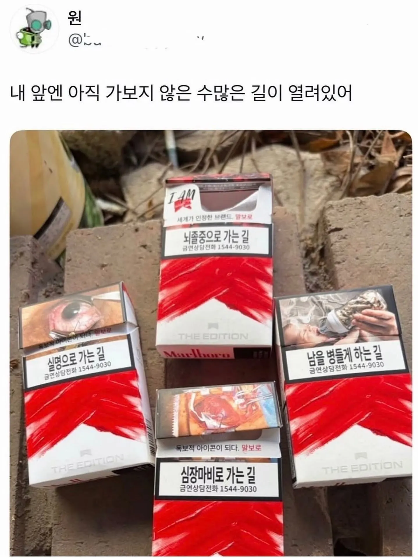 미지의 길을 향해 나아간다는 문구와 I AM 로고가 보이는 광고  
세계가 인정한 브랜드, 말보로와 THE EDITION 문구가 있는 광고  
뇌졸중으로 가는 길이라는 경고와 금연