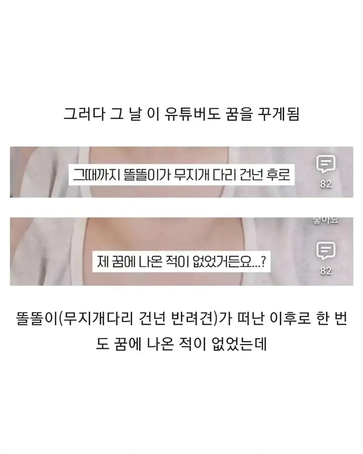 세상을 떠난 반려견이 딸로 돌아온 것 같다는 유튜버의 사연