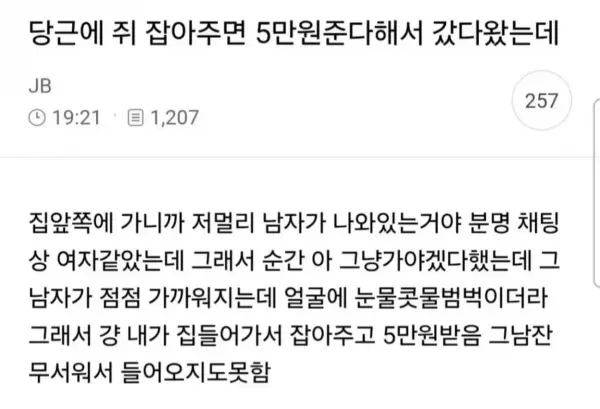 당근 쥐잡이 5만원 글을 보고 갔다가 직접 쥐를 잡은 이야기