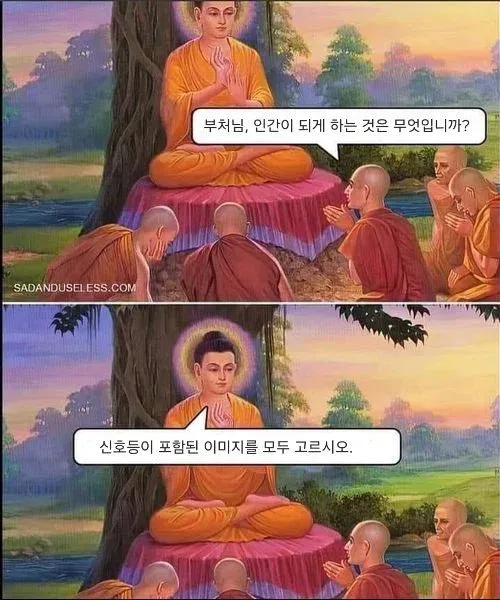 부처님께 인간이 되는 것이 무엇인지 묻는 글