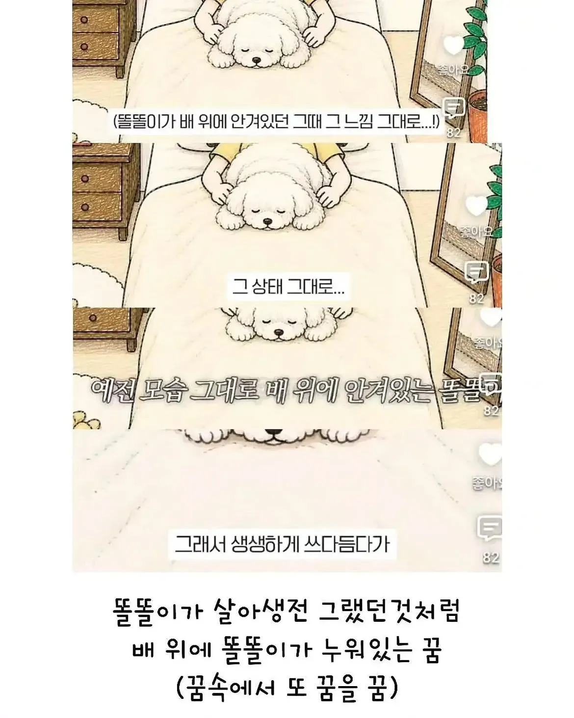 세상을 떠난 반려견 똘똘이가 주인 배 위에 누워 있는 꿈
