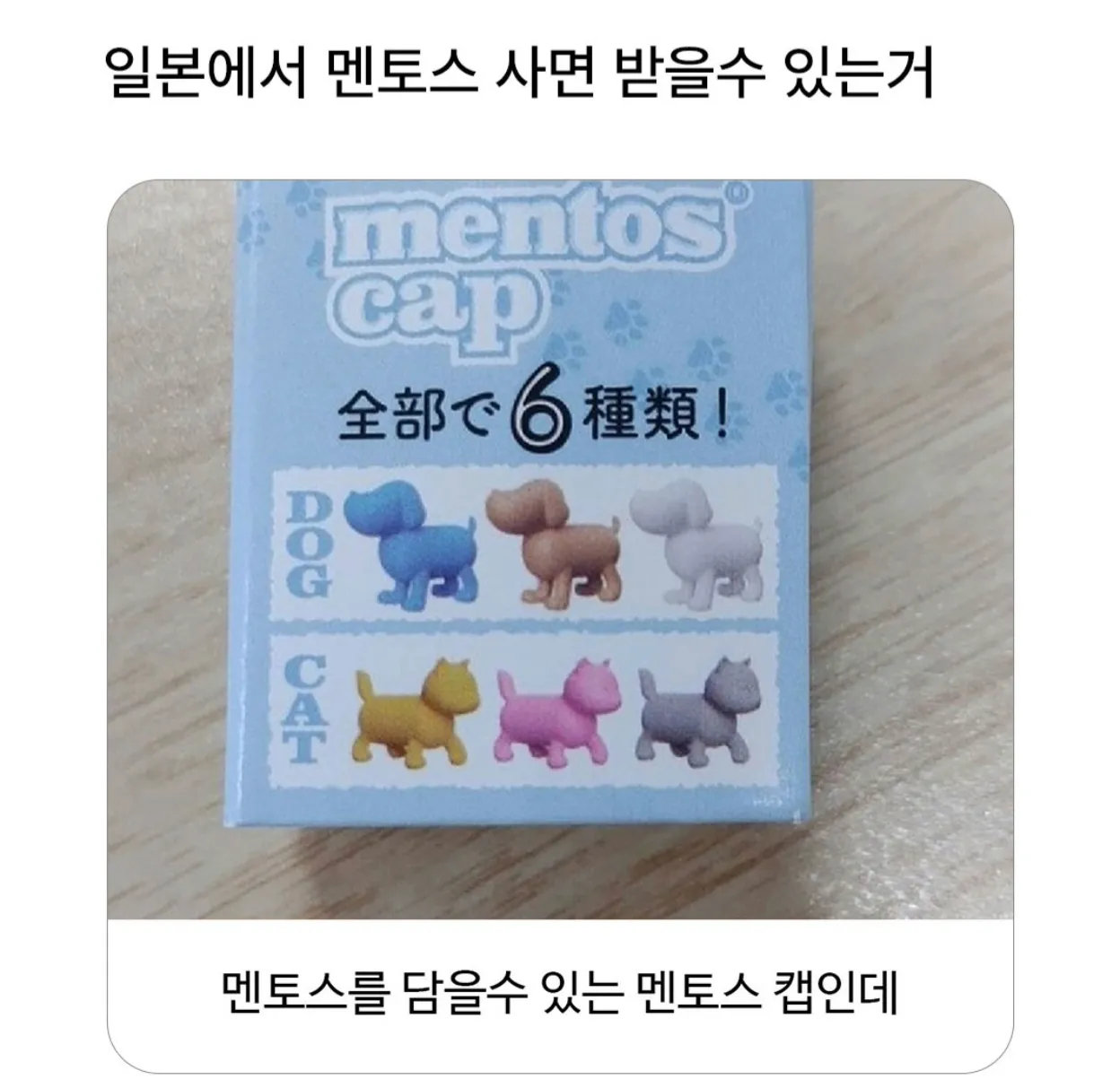 일본 멘토스 구매 시 증정되는 멘토스 캡, DOG·CAT 등 6종