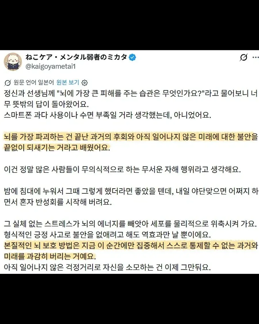 정신과 의사가 말하는 과거 후회와 미래 불안의 뇌 손상 위험