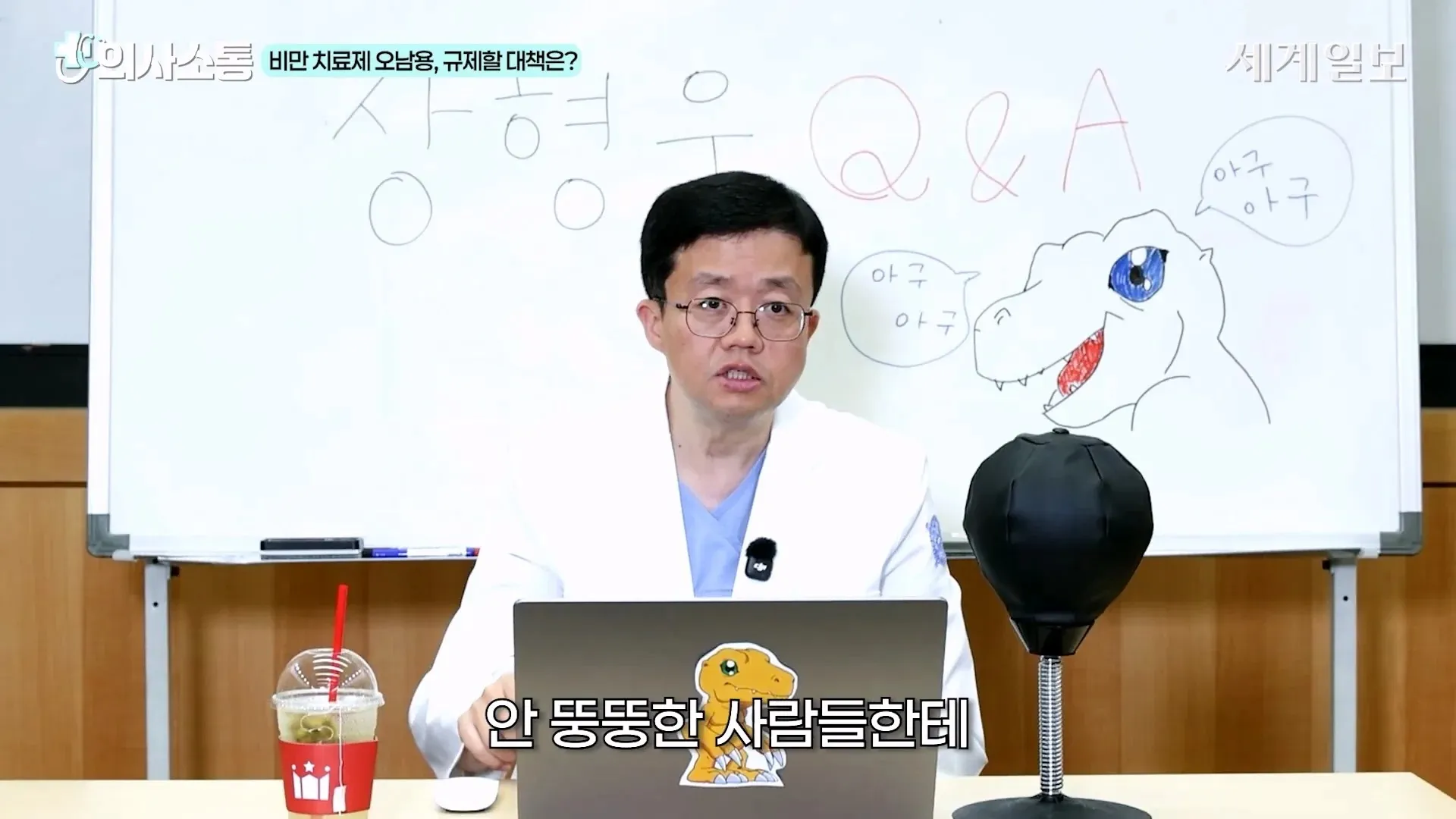 비만 치료제 오남용 규제 대책 Q&A와 위고비·마운자로 관련 의사 발언