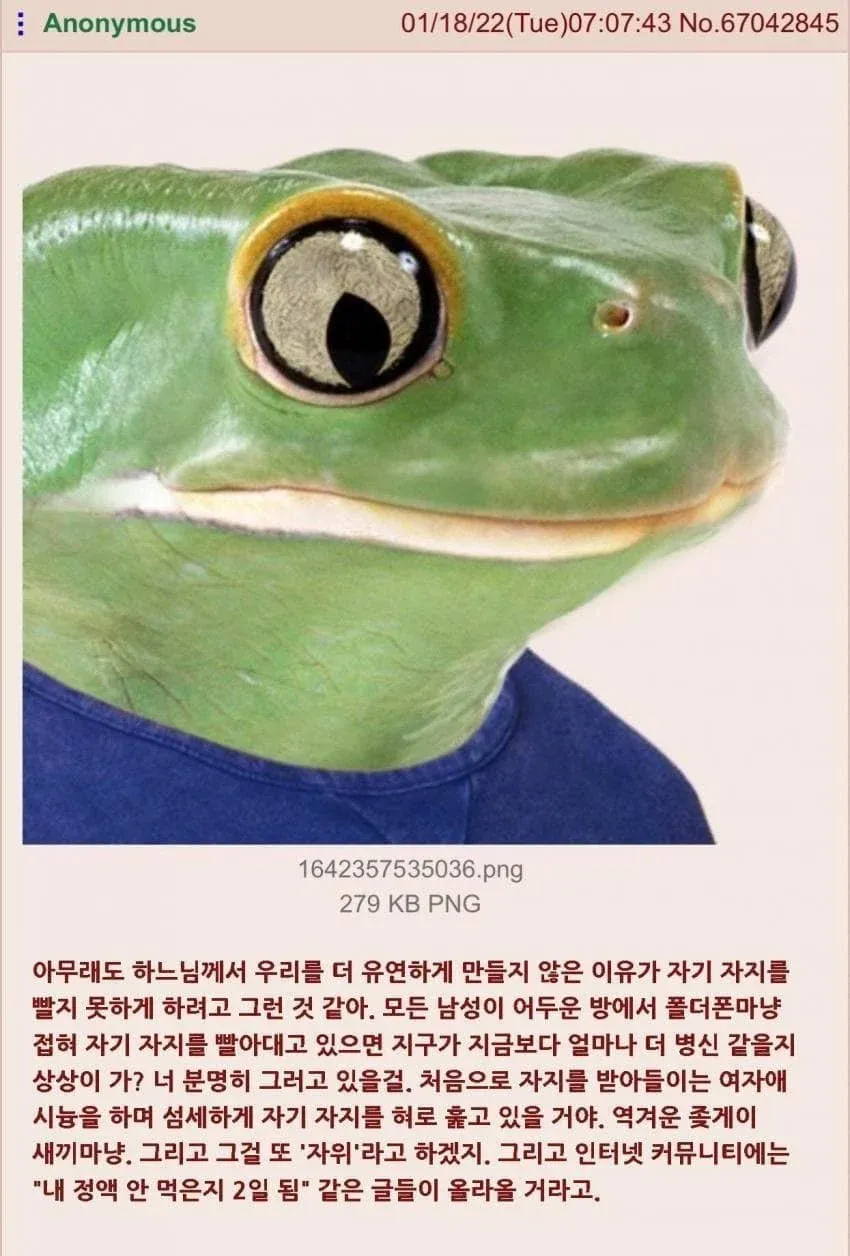 남성의 신체 유연성을 조롱하는 성적 표현이 담긴 글 캡처